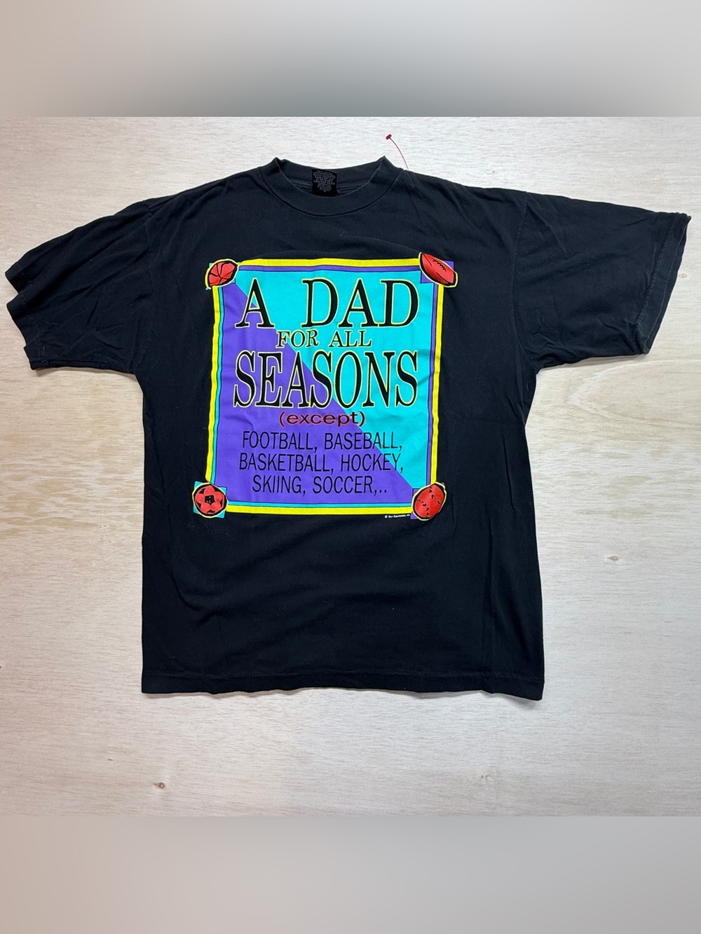Vintage 1990s Sun Sportswear "A Dad For All Seasons (except...)"